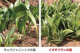 北海道民ならではの感覚