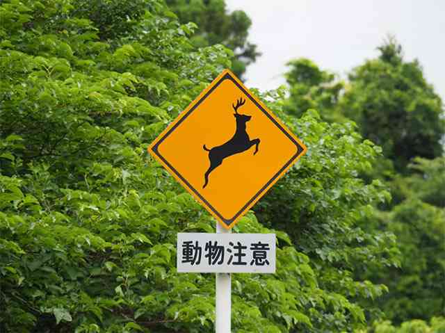 北海道民ならではの感覚