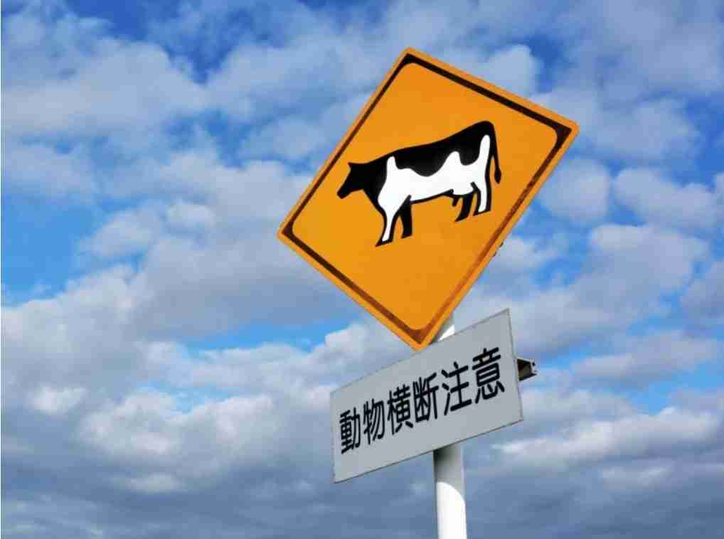 北海道民ならではの感覚