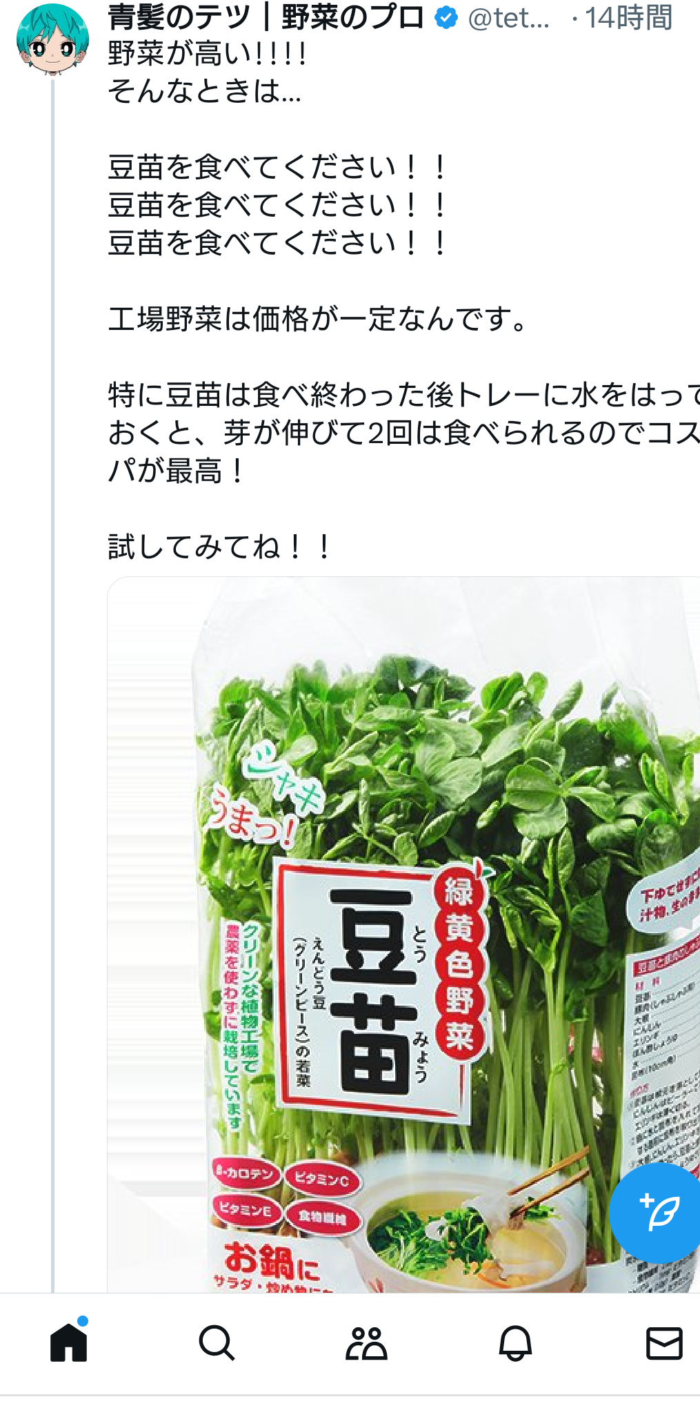 野菜を安く買う方法