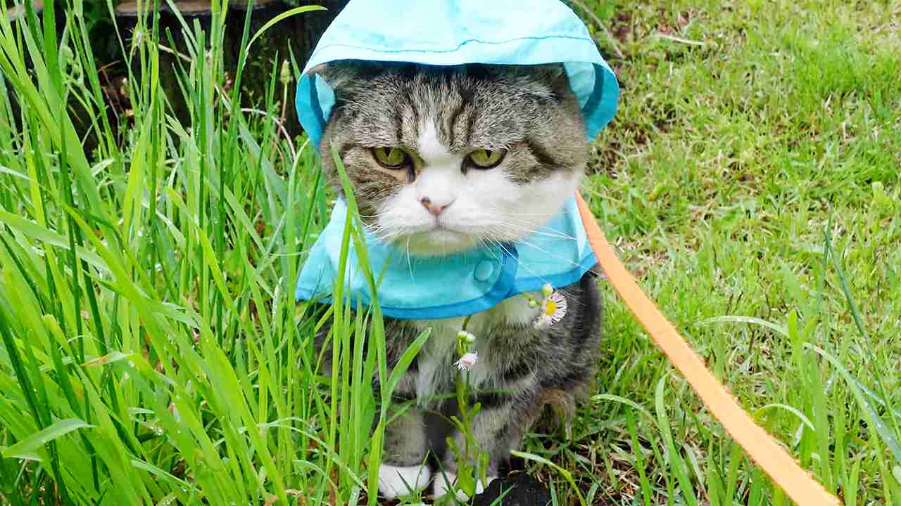 旅行…雨の予報どうする？