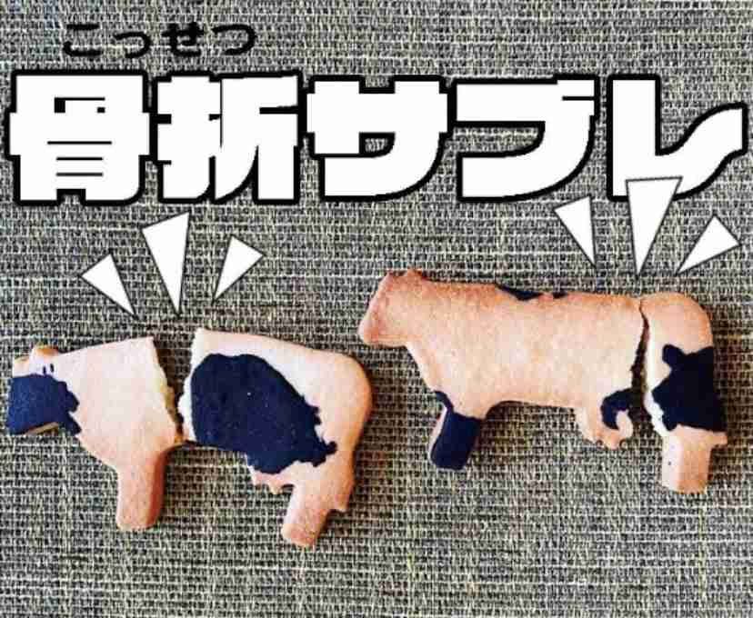 “産休クッキー”論争、益若つばさの見解「心情を考えることは大切だけど、この発信が歓迎されないのは悲しい」