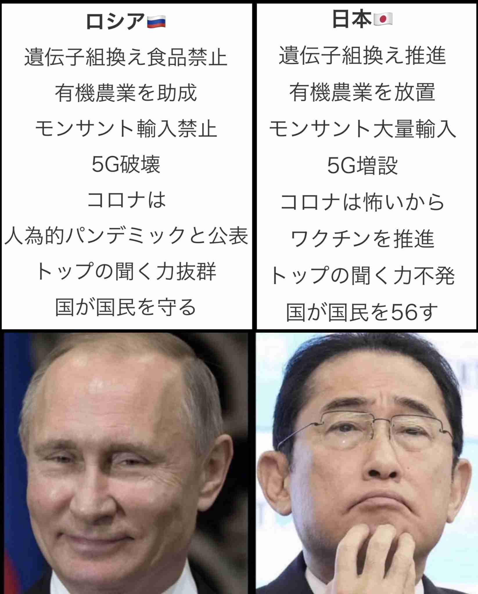 経済的困窮で「国ガチャ失敗」? 嘆く日本人をロシア出身YouTuber一喝「大当たりや」「他責マインドって何も解決できん」