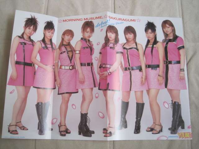 アイドルの衣装で着てみたいと思った衣装 Part2