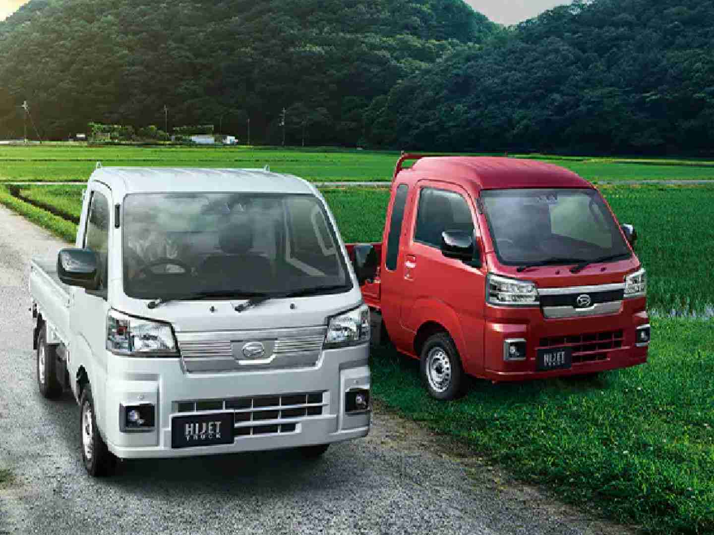 農家の娘あるある