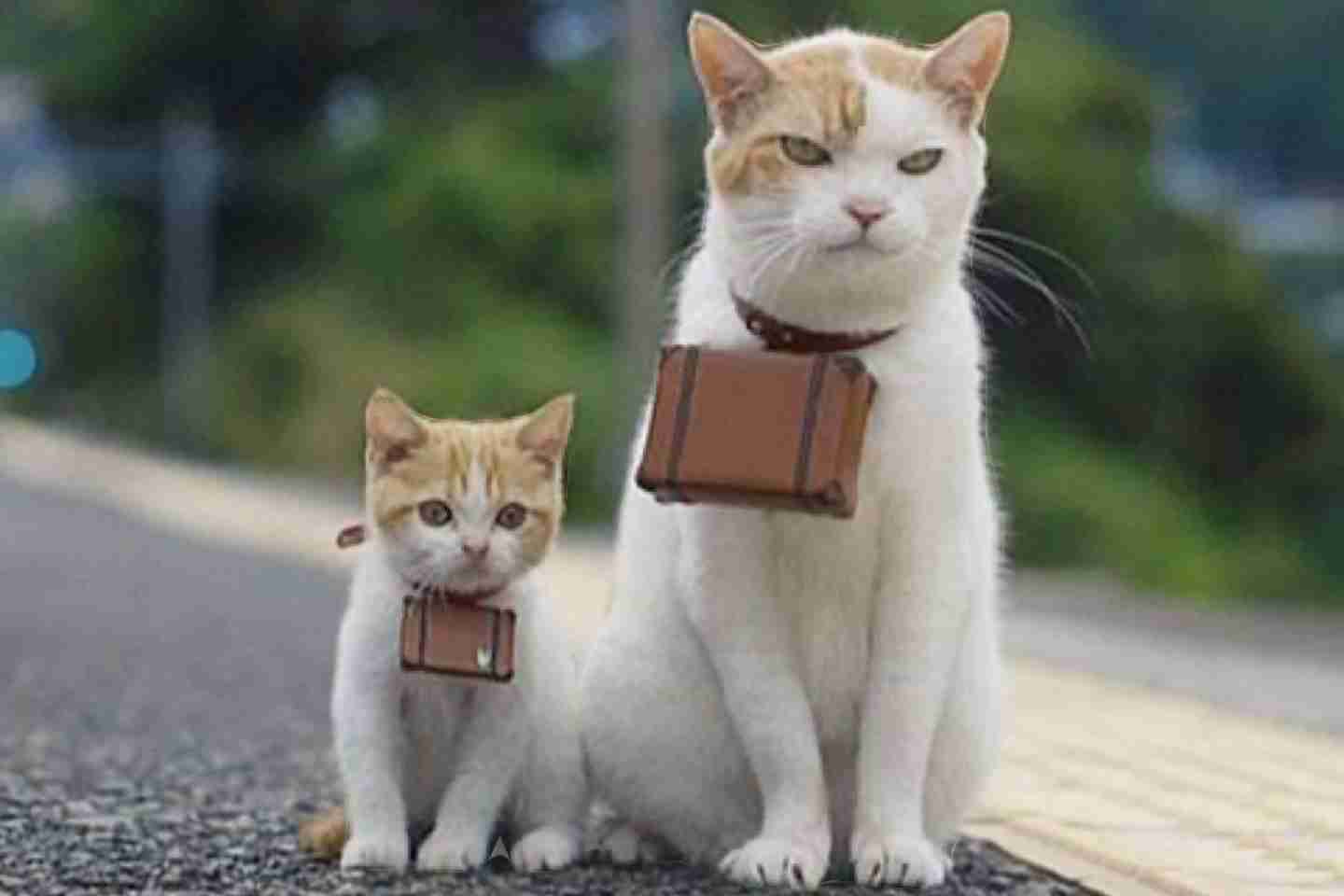 子連れ旅行、何歳から楽しめる？