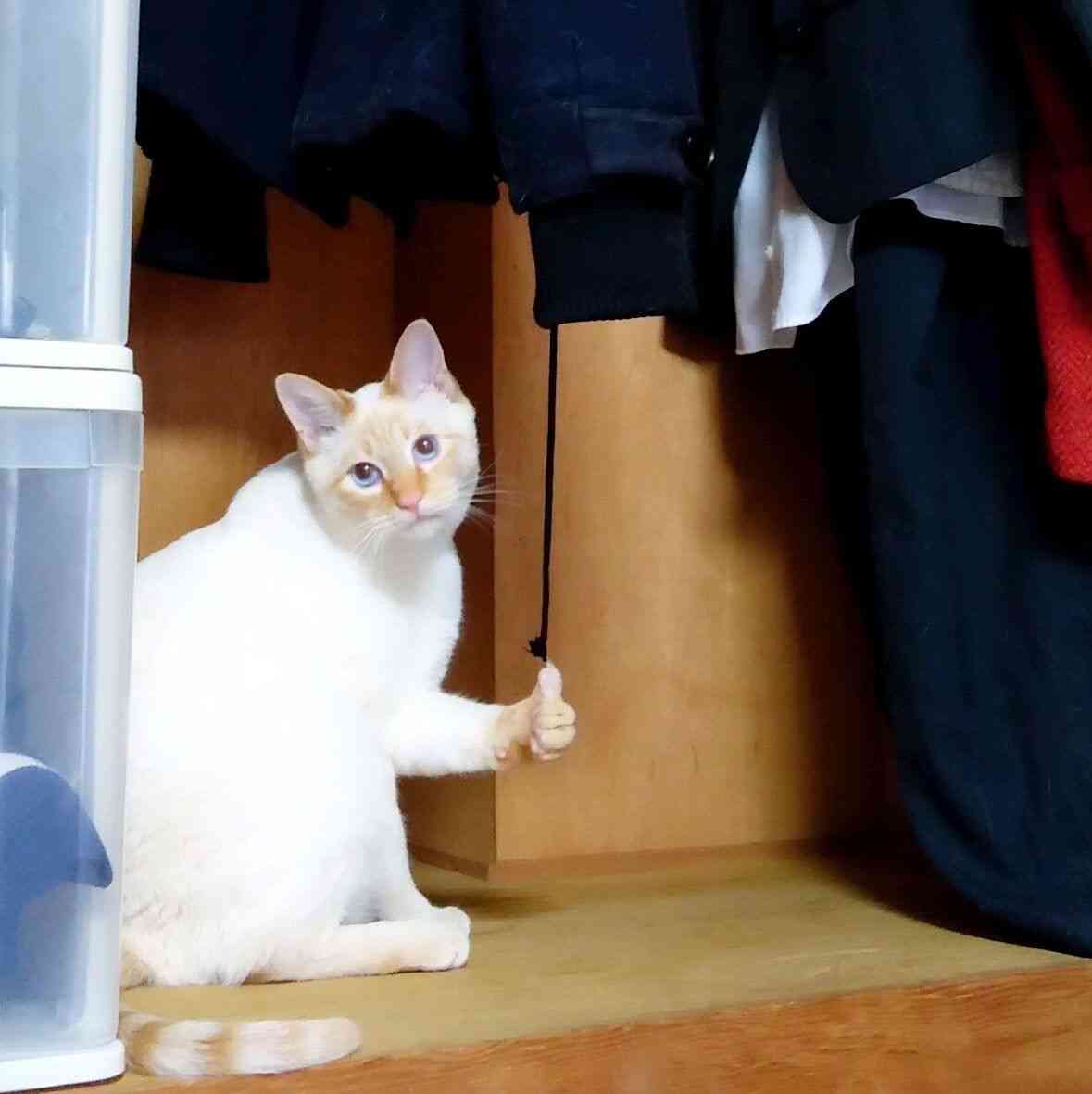 アラフォーの主、若い頃は苦手だったアイドルソングが刺さる😢