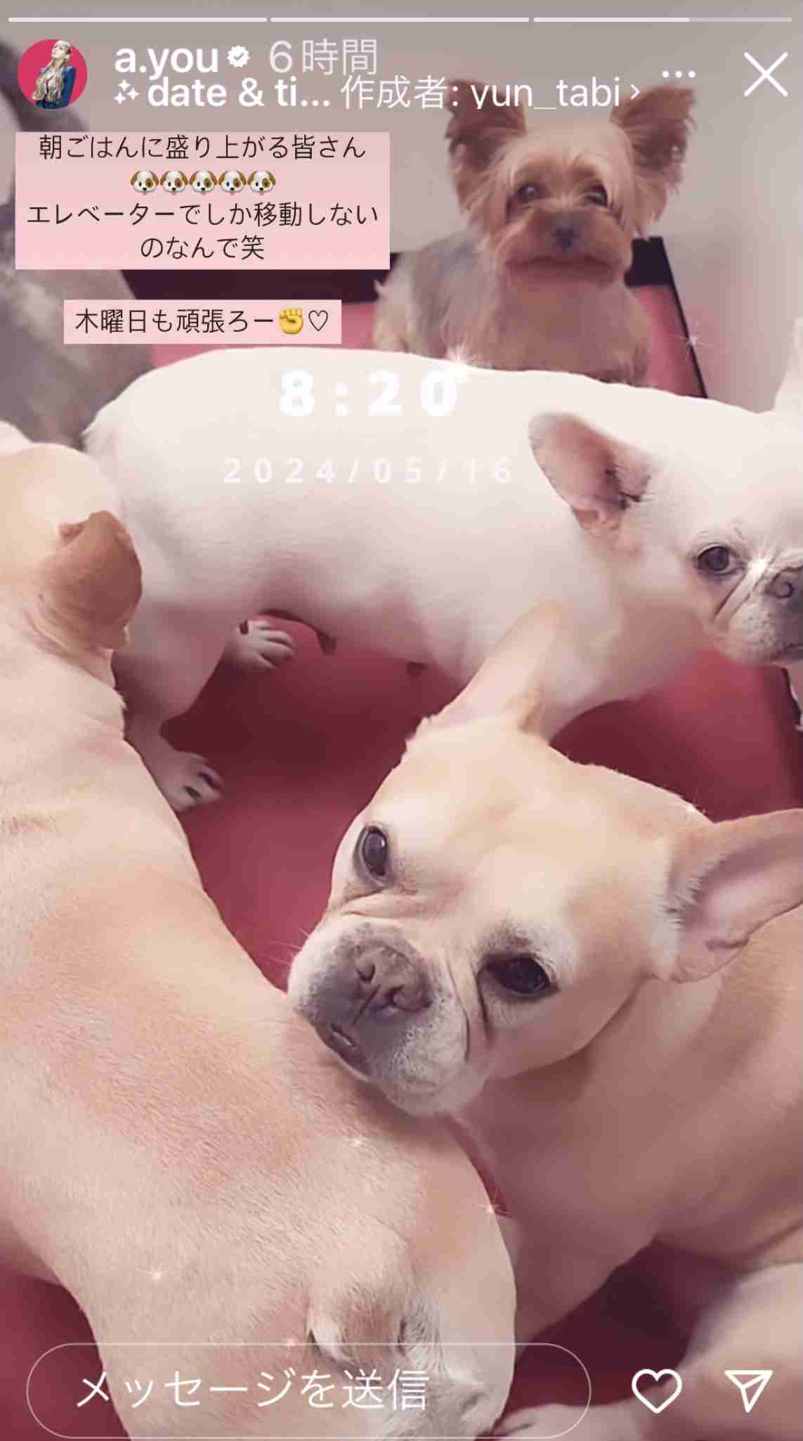 ❰おしゃれ染め❱ヘアカラーによる薄毛❰白髪染め❱