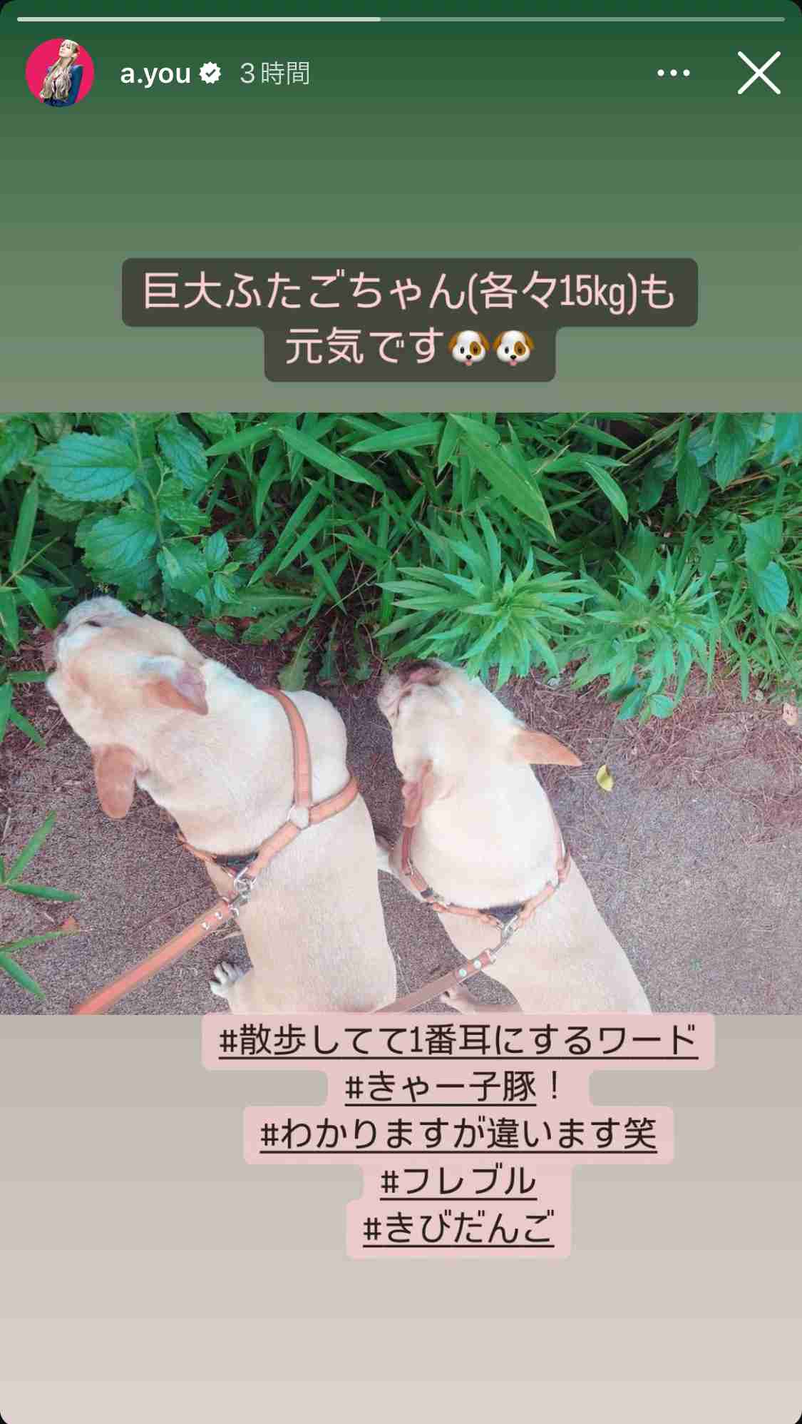 ❰おしゃれ染め❱ヘアカラーによる薄毛❰白髪染め❱