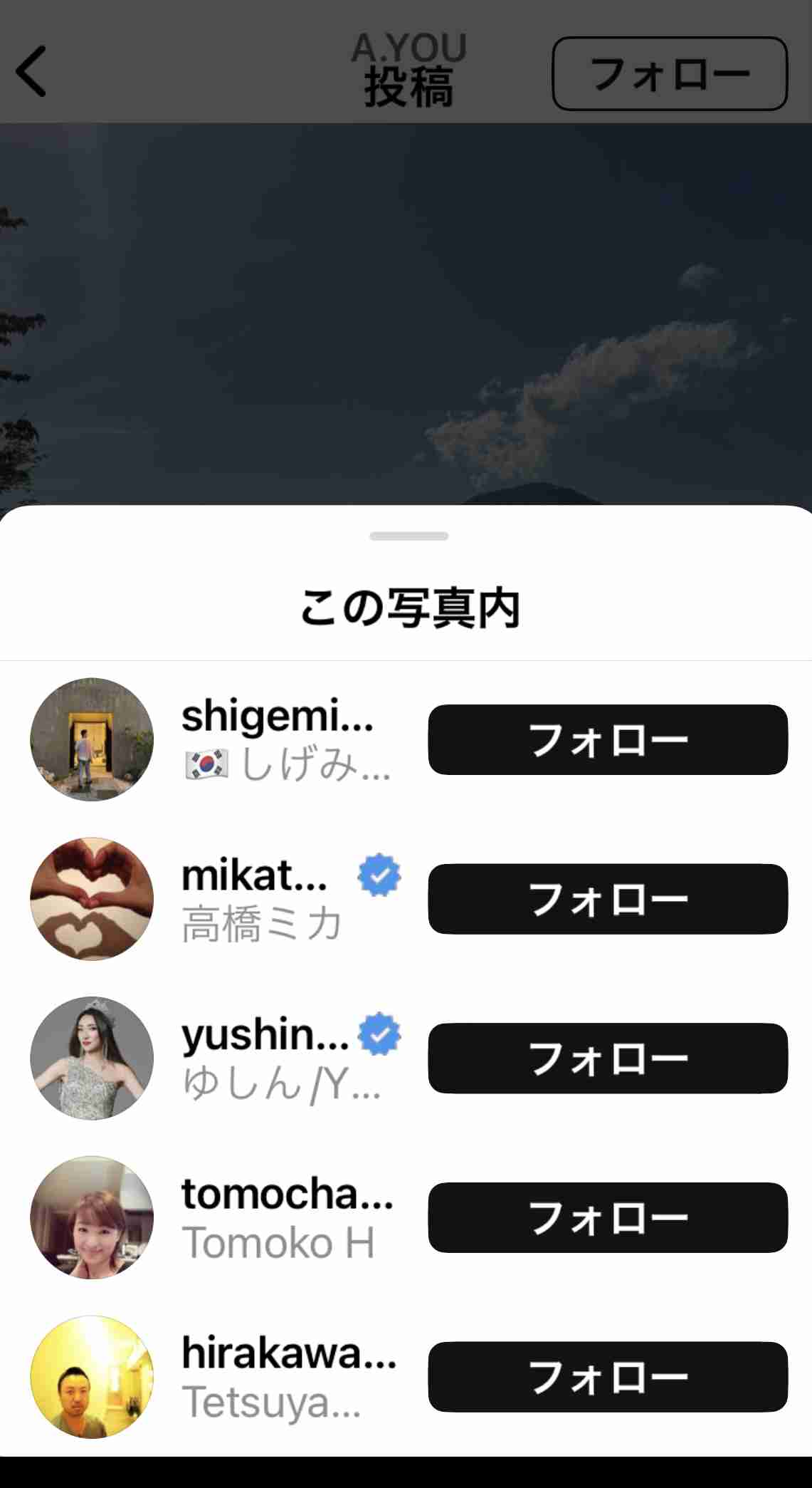 ❰おしゃれ染め❱ヘアカラーによる薄毛❰白髪染め❱
