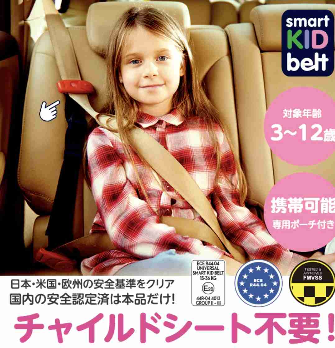 車にチャイルドシートなく…2歳女の子が車外に投げ出され死亡した事故 運転席の遺体は27歳母親と判明