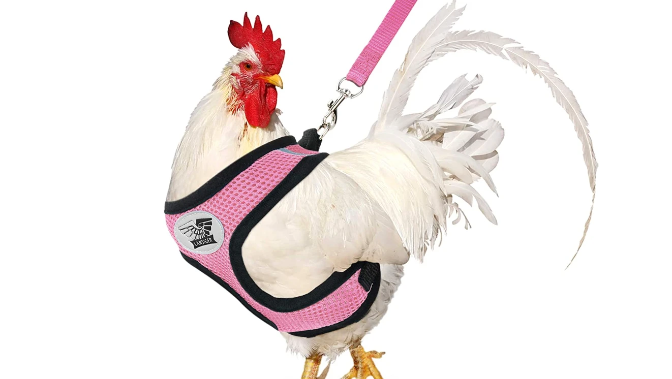 絶対いらんやろw みたいなユニークな商品教えてください