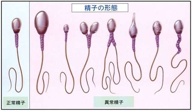 年の差恋愛を経験してわかったこと