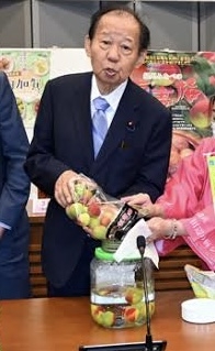 和歌山でオススメの観光地