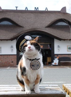和歌山でオススメの観光地
