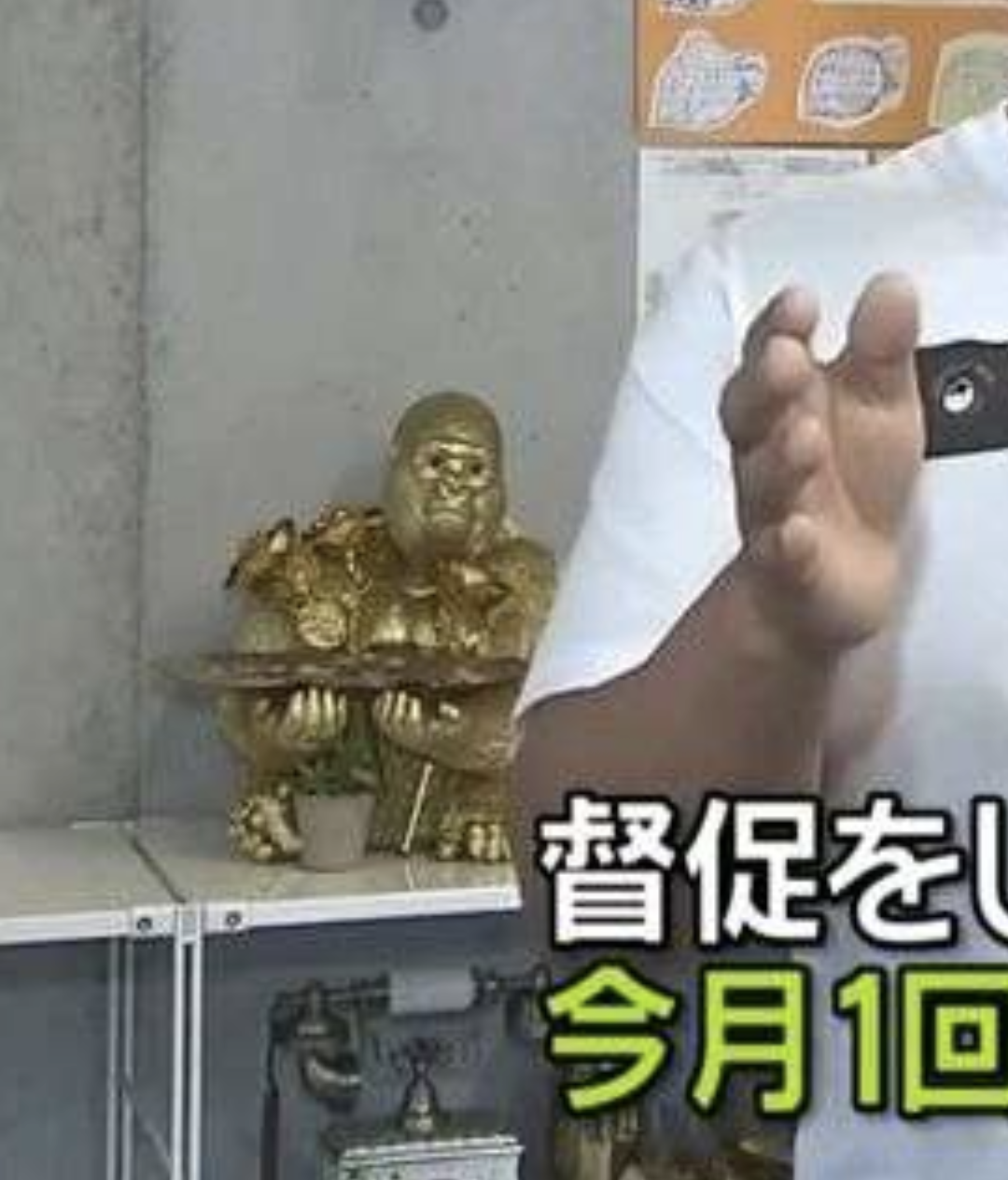 「約100万円が未入金」連絡つかず…主催者「事業停止」に出店者“混乱”　人気「パンフェス」突然中止に