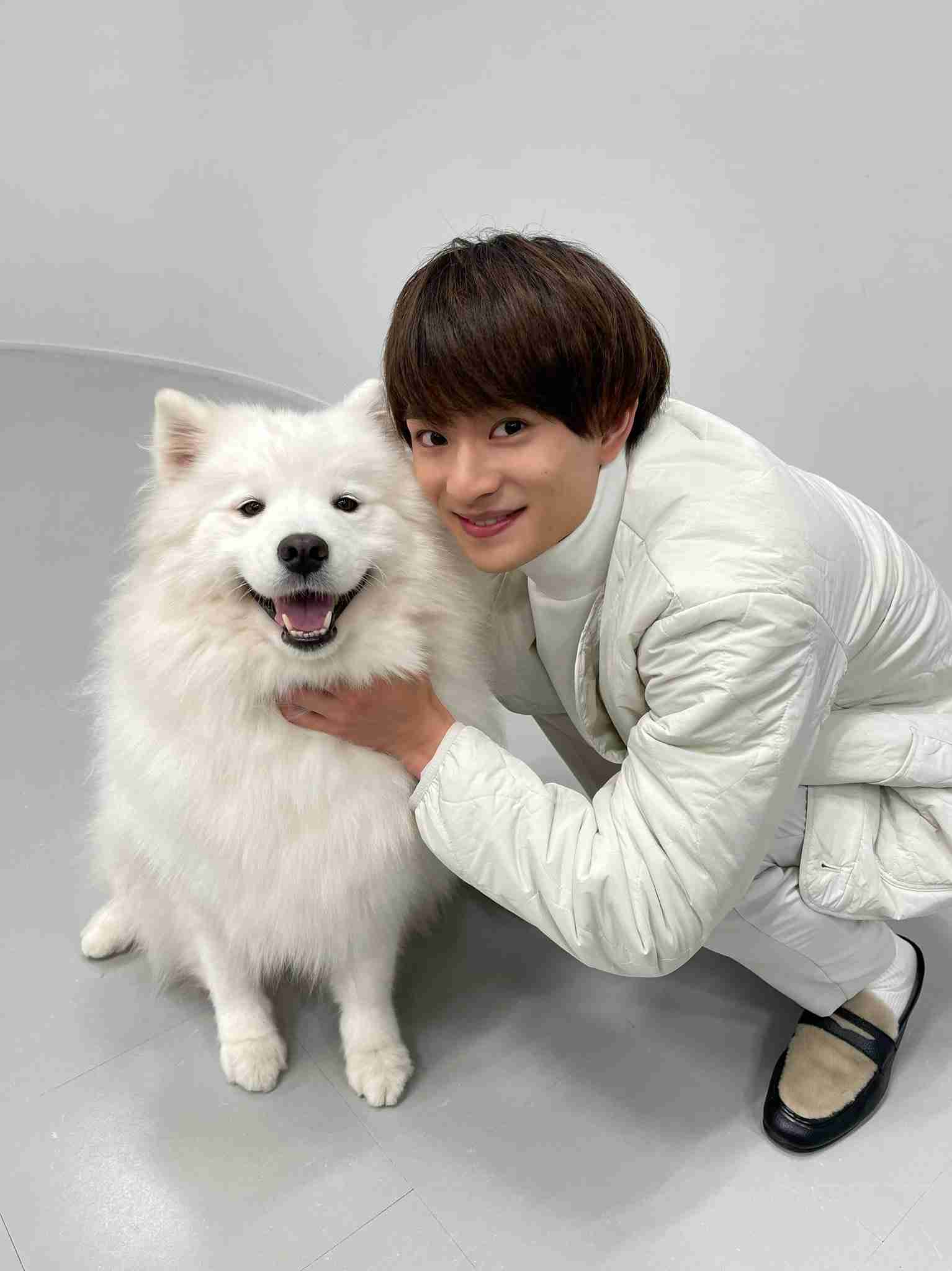 イケメンと動物