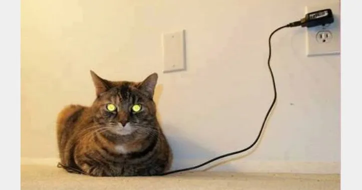 自分の充電🔌方法