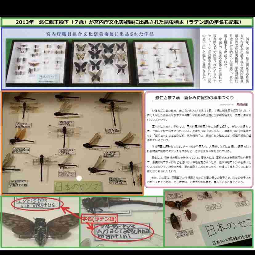 パンツスタイルが似合わない