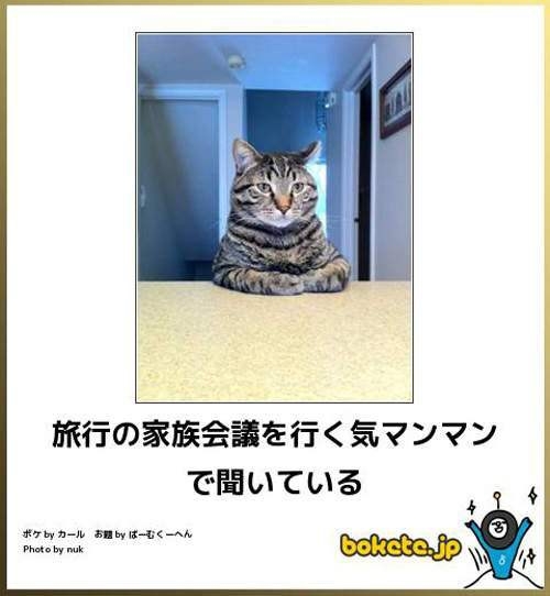 犬「で、オレが産まれたってわけ」　220万再生突破の爆笑ワンコに「ちっ、２回目の転生は犬かよ」「これでウインクとかされたら笑い死ぬww」