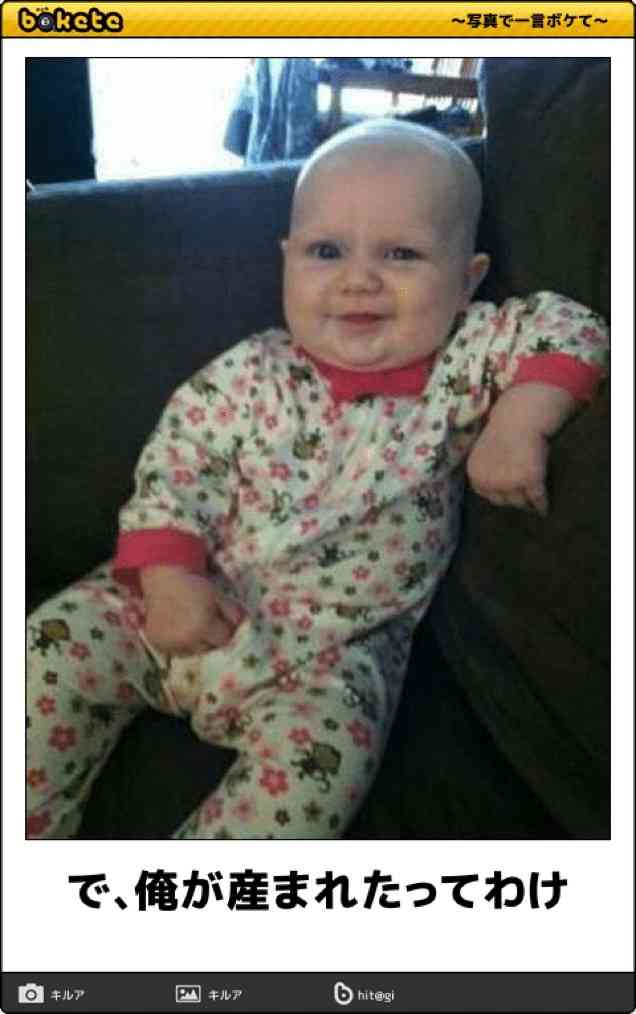 犬「で、オレが産まれたってわけ」　220万再生突破の爆笑ワンコに「ちっ、２回目の転生は犬かよ」「これでウインクとかされたら笑い死ぬww」