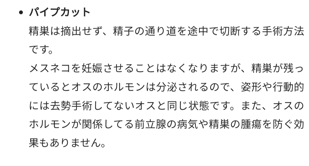 猫の去勢・避妊手術後の注意点