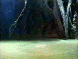 また見たい！復活してほしいCM