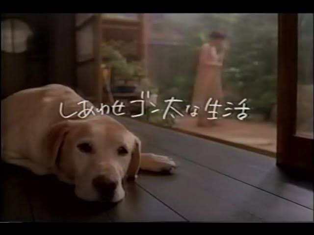 また見たい！復活してほしいCM