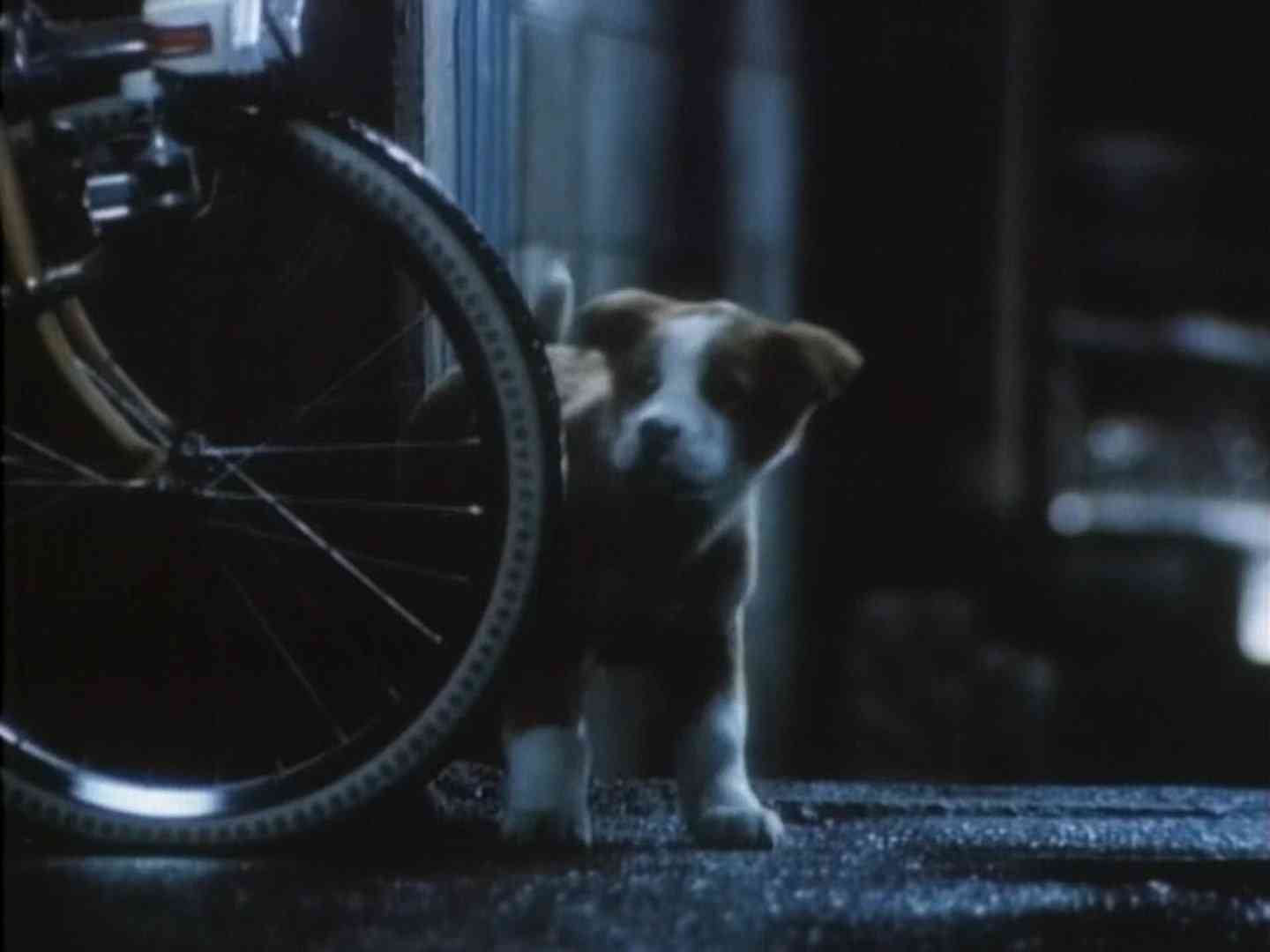 また見たい！復活してほしいCM