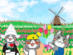 がるちゃん猫カフェ99号店開店しました♪(初めての方も大歓迎♪）