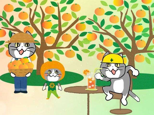 がるちゃん猫カフェ99号店開店しました♪(初めての方も大歓迎♪）