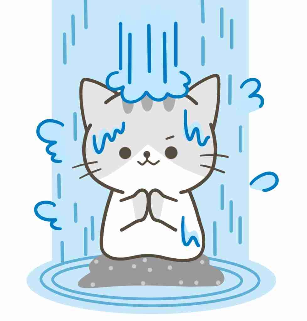がるちゃん猫カフェ99号店開店しました♪(初めての方も大歓迎♪）