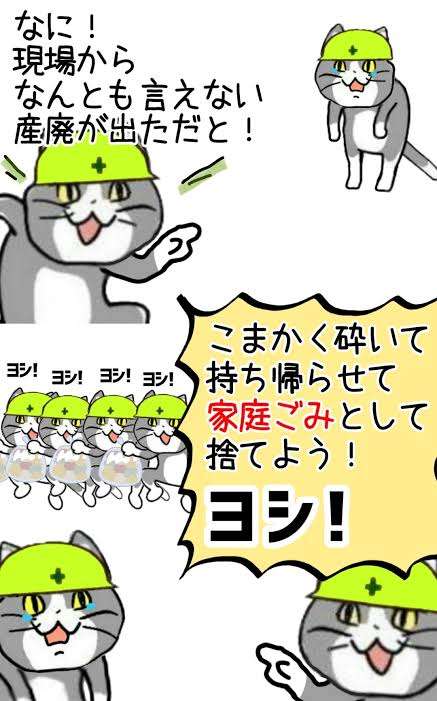 がるちゃん猫カフェ99号店開店しました♪(初めての方も大歓迎♪）