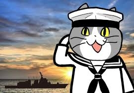 がるちゃん猫カフェ99号店開店しました♪(初めての方も大歓迎♪）