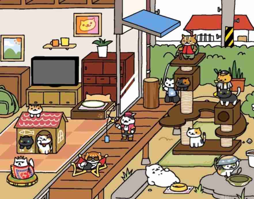 がるちゃん猫カフェ99号店開店しました♪(初めての方も大歓迎♪）