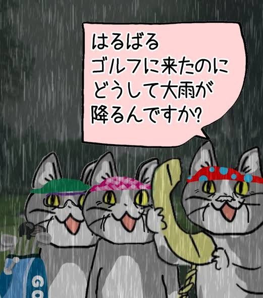 がるちゃん猫カフェ99号店開店しました♪(初めての方も大歓迎♪）