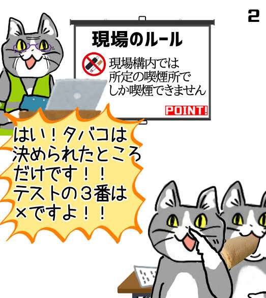 がるちゃん猫カフェ99号店開店しました♪(初めての方も大歓迎♪）