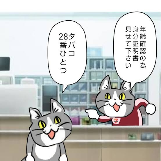がるちゃん猫カフェ99号店開店しました♪(初めての方も大歓迎♪）