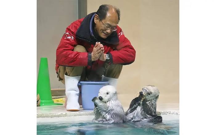 ラッコのキラ＆メイを24時間いつでも見られる！　鳥羽水族館のライブカメラにファン歓喜…大人気飼育員・石原さんも映るかも
