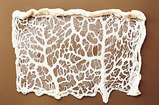 “スケスケ成人式コーデ”が物議のモデル、「3度見される服」を披露　「コレは見ちゃうわ」「洗っても大丈夫なのか」の声