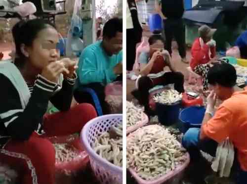 【閲覧注意】タイで生の牛肉をパクパク食べた友人、帰国してトイレに行ったらお尻から3mの「アレ」が出てきて病院へ