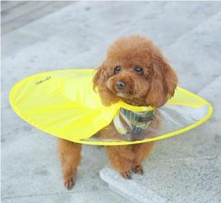 かわいい傘がみたい