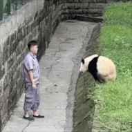 パンダの画像を貼って癒されましょう