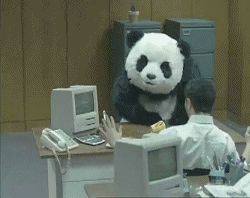 パンダの画像を貼って癒されましょう