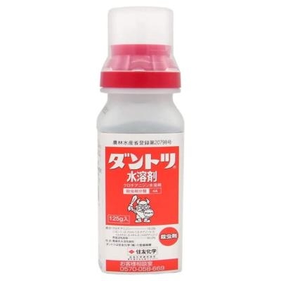 【園芸】100円ショップの植物を育ててる人！【雑談】