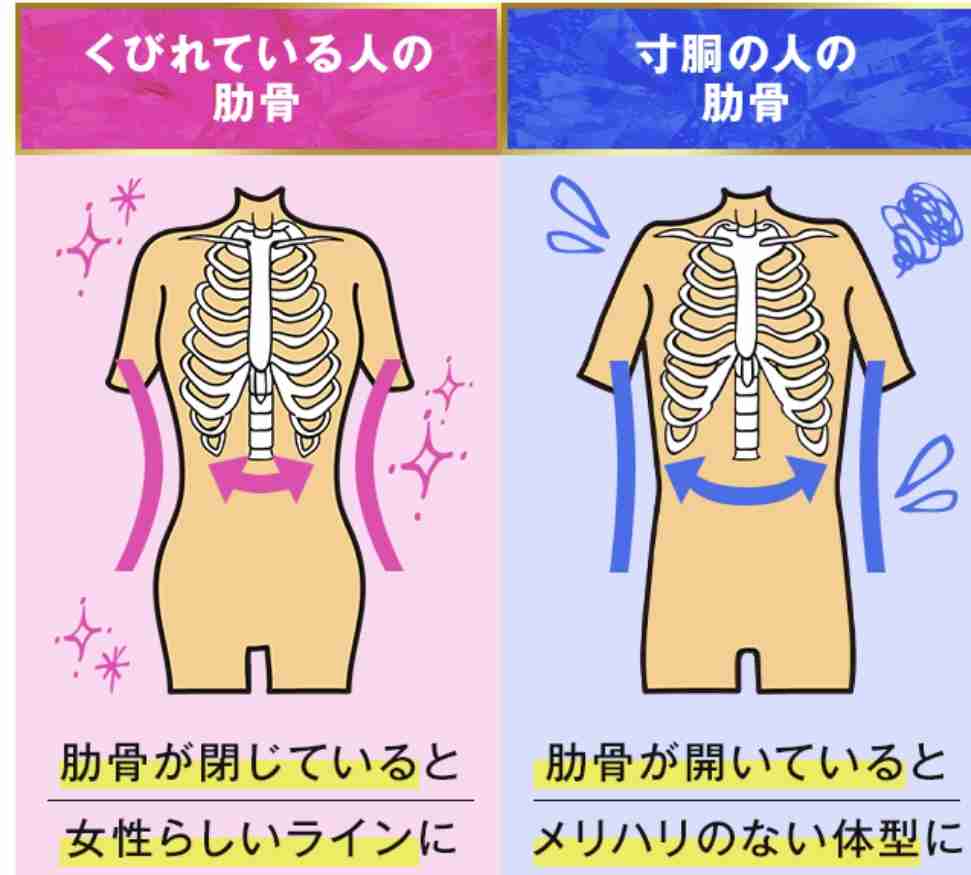 シンデレラ体重目指すダイエットメニュー