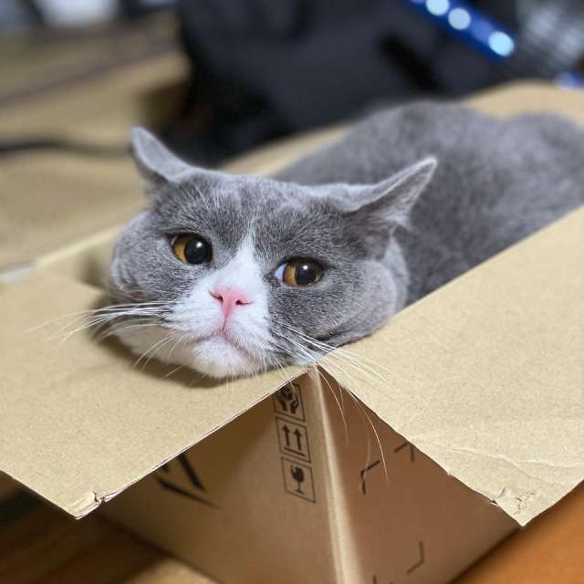 家の居心地が悪い人