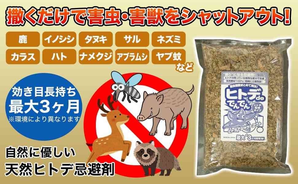 【梅雨】ナメクジを寄せない方法【助けて】