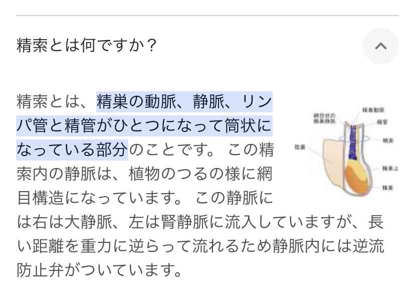 新垣結衣　夫・星野源ら巡るネット上のうわさを否定「事実はひとつもありません」1年半ぶりX更新で