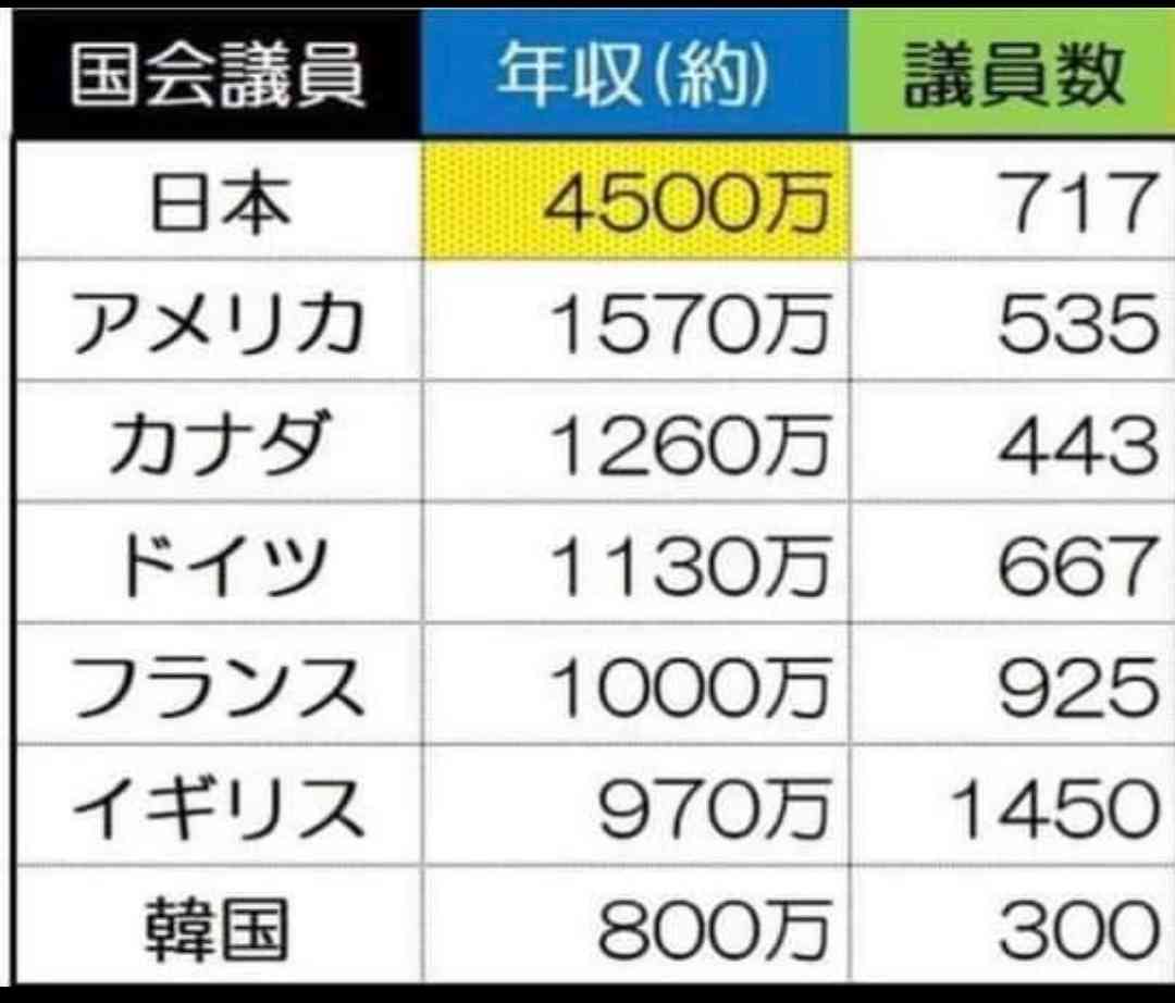 「年を越せる気がしない」食品値上げ31％で庶民から悲鳴…自民党「さらなる賃上げ」公約に「物価以上の所得増ですね」皮肉の声も